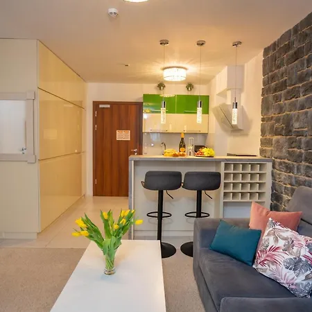 Nad Potokiem 41 公寓